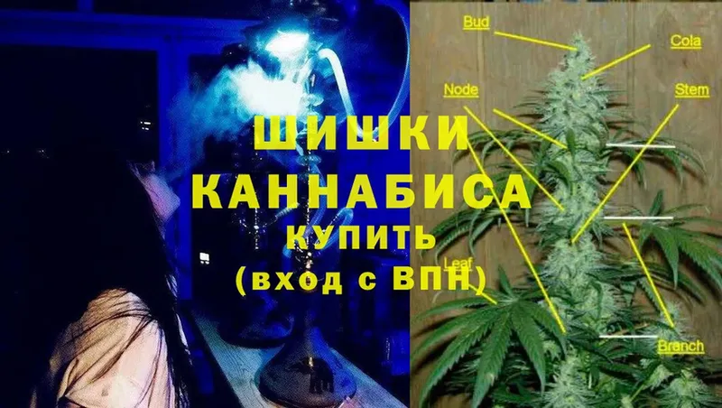 магазин продажи   Нижняя Тура  Бошки Шишки THC 21% 